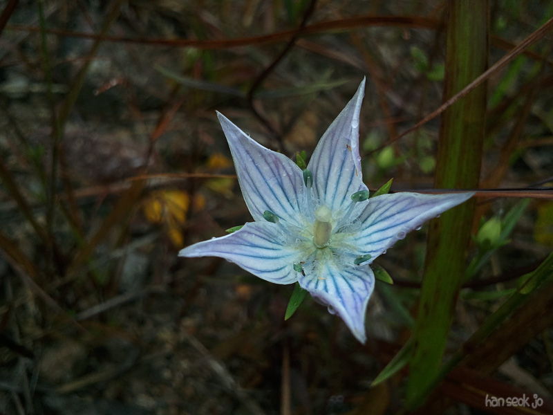 2010-10-24 10.07.42.jpg